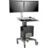 Multi-Monitor Workstations